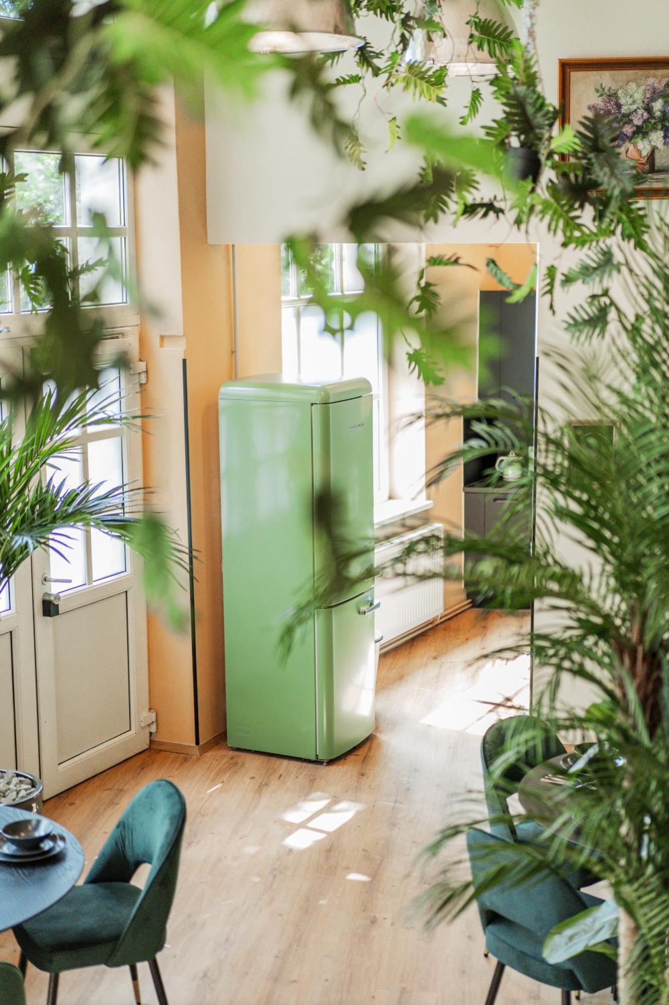 Green Apartments Albergue *